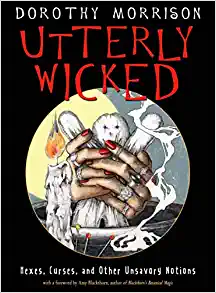 Read more about the article Utterly Wicked – Book Review